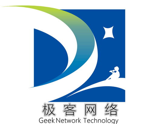 福建極客網絡科技 技術驅動創新，數字賦能未來