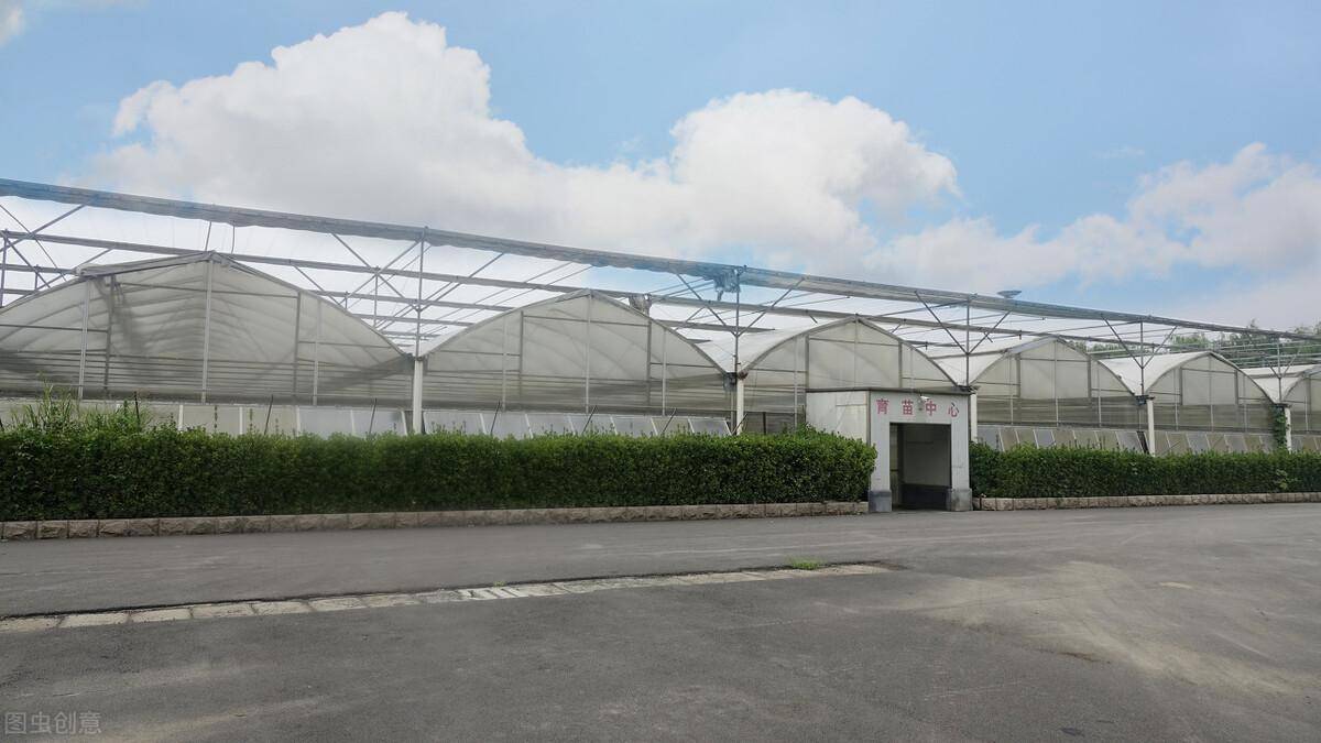 尼木縣吞彌現代農業園區溫室大棚果蔬種植建設項目施工招標公告
